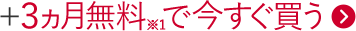 +3ヵ月※1で今すぐ買う